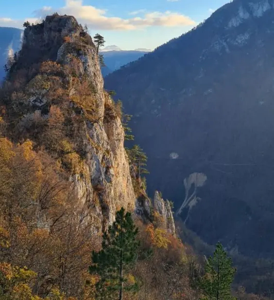 Planinarenje i safari